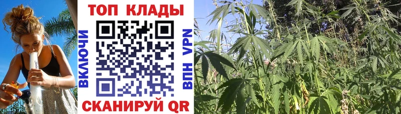 Магазин наркотиков Куса КОКАИН  A-PVP  MDMA  ГАШИШ 