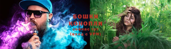 сатива Аша