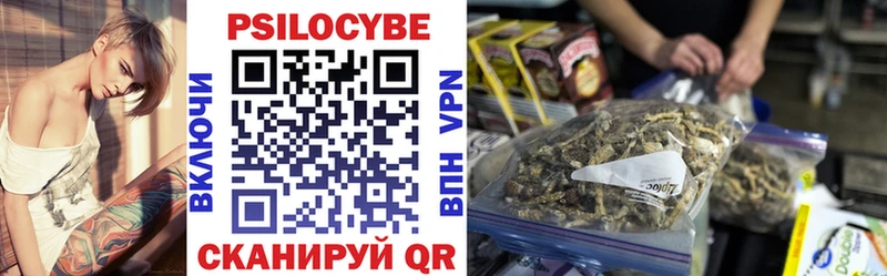 купить наркоту  Куса  Галлюциногенные грибы мицелий 