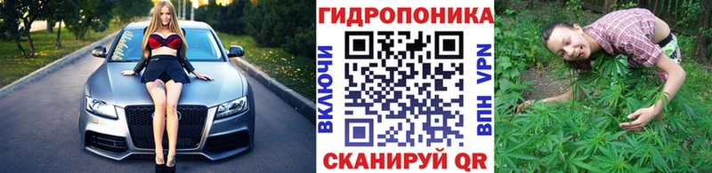 МАРИХУАНА семена  Куса 